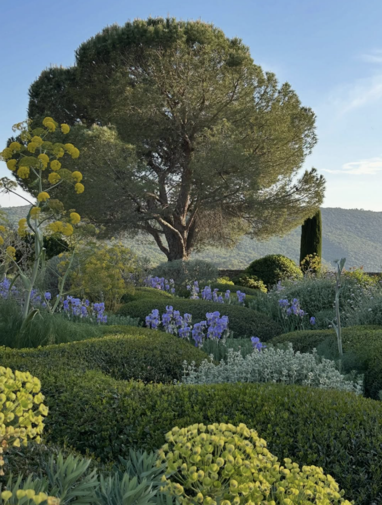 Paysage naturel avec fleurs et arbres