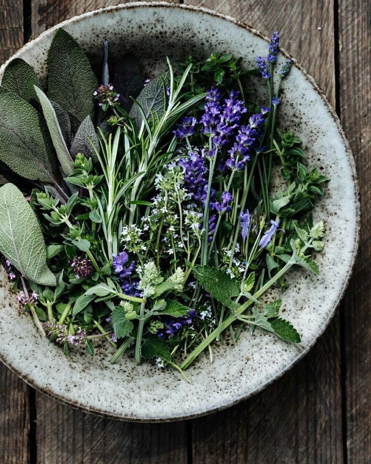 mélange de plantes et fleurs dans une assiette